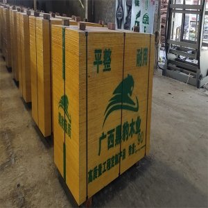 建筑膠合板